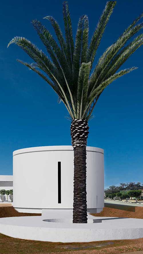 Primary School Benghazi